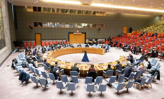 End the war and recognize Palestine, Security Council urged
